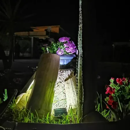 Frida Casavacanze كاستيلاّماري ديل غو