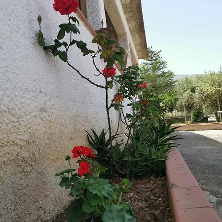 Frida Casavacanze * Castellammare del Golfo