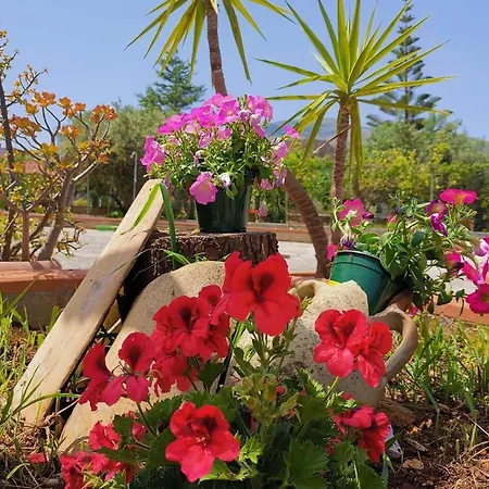 Frida Casavacanze Σπίτι διακοπών *