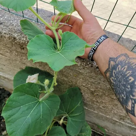 Frida Casavacanze Σπίτι διακοπών Castellammare del Golfo