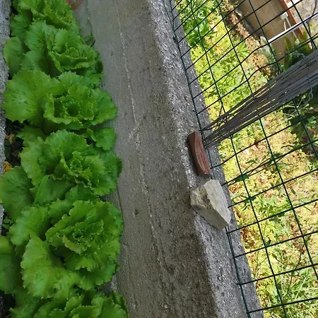 Σπίτι διακοπών Frida Casavacanze