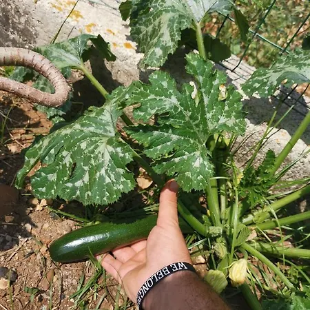 Frida Casavacanze Castellammare del Golfo